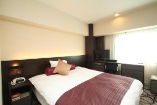 ANA Crowne Plaza Hotel Kushiro by IHG - Kushiro - 8