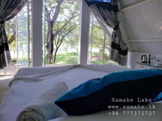 Samabe Lake - Dambulla - 7