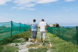 Agricampeggio Alessandra - Torrenova - 1