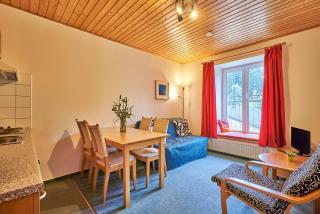 Poustevnik Apartments - Pec pod Sněžkou - 7