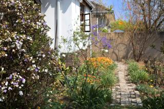 Springbank Guest Suite - 7