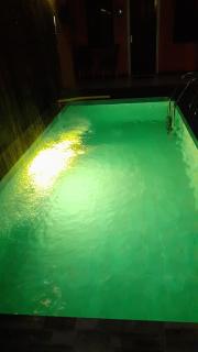 Max Garden and Pool - 7