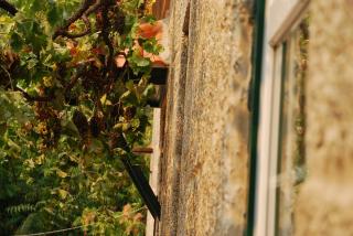 Refúgio de Calheiros - Covilhã - 5
