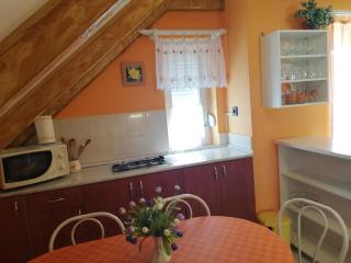 Apartment in Zalakaros - Thermalbad 20662 - Zalakaros - 8