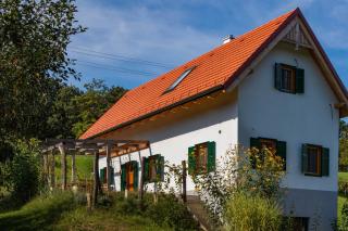 Kellerstöckl am Liendlberg - Eberau - 7
