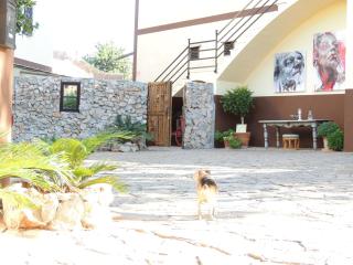 loftOtel canet - Esporles - 4