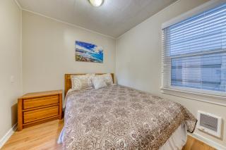 Starfish 1, 2, 3, & 4 - 2