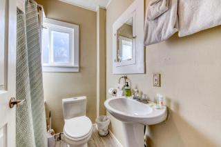 Starfish & Dolphin Combo - 2