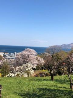 Guest House Asahi - Otaru - 8