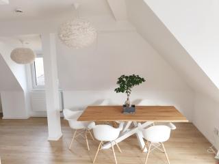 Wunderschönes Penthouse im Herzen von Hameln - 7