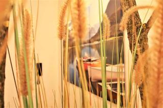 Appart'Confort - Le Lodge - Saint-Brieuc - 4
