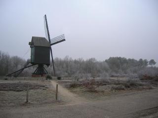 B&B De Meren - Aarschot - 5