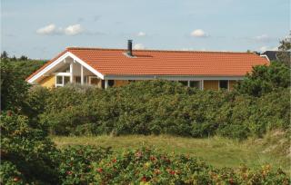 Buller - Fanø - 0