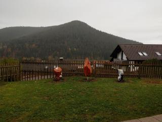 Ferien Paradies - Baiersbronn - 4