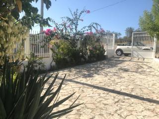 B&B Case Vacanza Orchidea marina di Macchia a Mattinata Gargano - Monte SantʼAngelo - 9