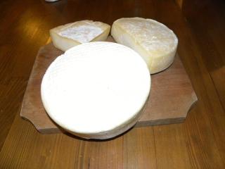 Farmhouse Rosehip Flower Romania Brasov - 1