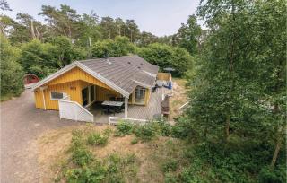 Duen - Vester Sømarken - 5