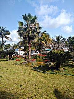 Hotel El Doral - 9