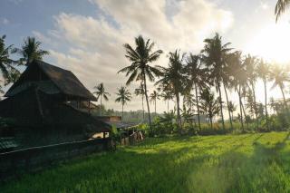 Pondok Diana - 6