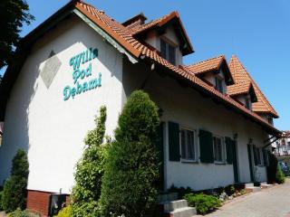 Apartamenty Willa pod Dębami - 6