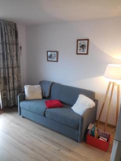 SKI DORIS 310 Flaine Forêt - 5