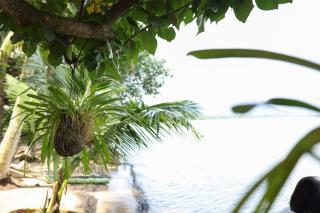 Local Beach Phu Quoc - 3