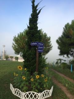 The Memory of Khaokho - Phetchabun - 1