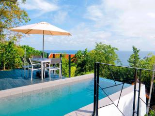 Pahili Pool Villas Koh Tao - SHA Plus - Ko Tao - 4