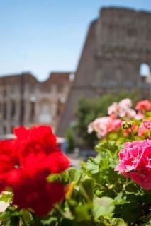 Royal House - Rome - 2