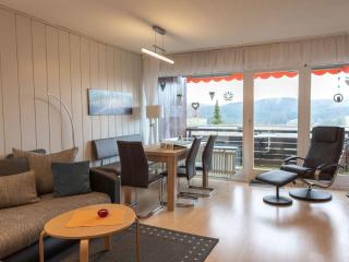 Appartmentvermietung Terrassenpark Schonach - Schonach - 9