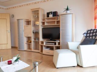 Appartmentvermietung Terrassenpark Schonach - Schonach - 8