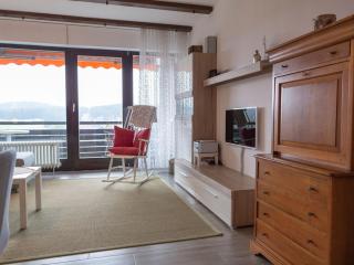 Appartmentvermietung Terrassenpark Schonach - Schonach - 7