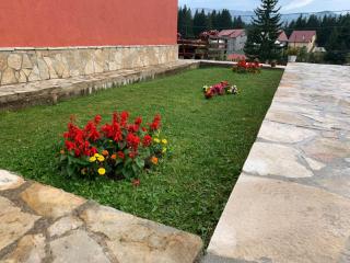 Apartments Radingturs - Žabljak - 1
