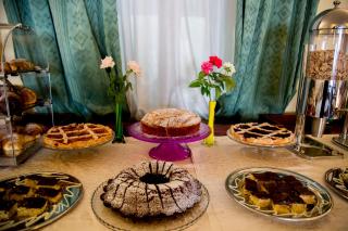 Lion's Hotel - Falerna - 3