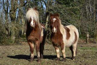 L'Ecrin de Pradou Glaz - 9