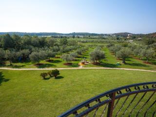 Sun Garden Premium Apartments - 3