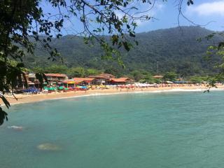 Jambeiro na praia - Trindade - 2