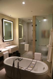 Trident Hyderabad - Hyderabad - 3