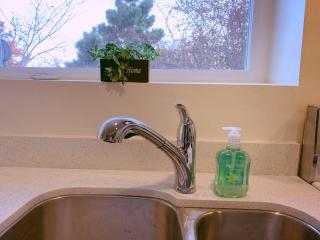 Arboretum Escape - 6