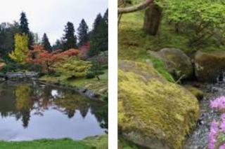 Arboretum Escape - Seattle - 2