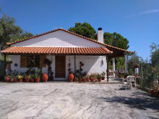 villa axiothea - Città di Skiathos - 0