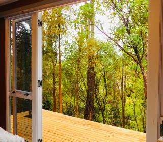 Fantail Bush Chalet - Parakakau - 3