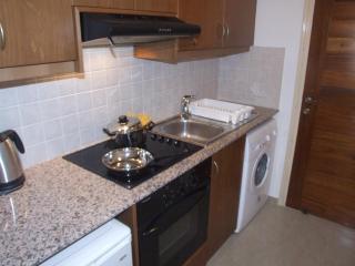 Studio with shower room E3, full kitchen, poolside, FREE WIFI - Peyia - 1