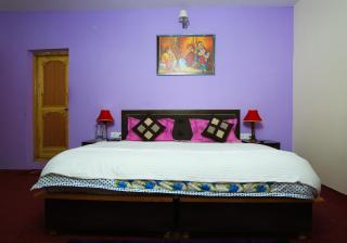 Olgok Guest House Nubra - Hundar - 8