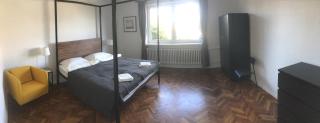 Jelenec House - Jelenec - 4
