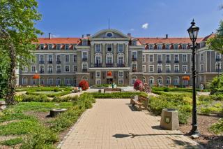 Dom Zdrojowy w Szczawnie - Zdroju - Szczawno-Zdrój - 9