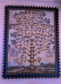 Il Casale Del Cotone - 4