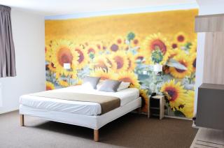 Relais Fasthotel Port Lauragais - Avignonet-de-Lauragais - 5