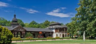 Dom Zdrojowy w Szczawnie - Zdroju - 1