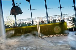 Alexandre Fira Congress - 5